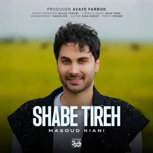 شب تیره